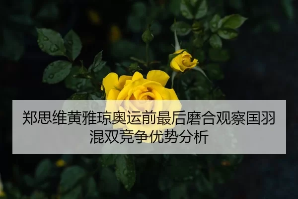 郑思维黄雅琼奥运前最后磨合观察国羽混双竞争优势分析