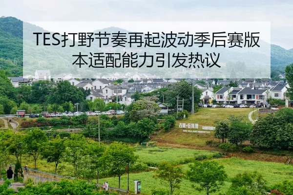 TES打野节奏再起波动季后赛版本适配能力引发热议
