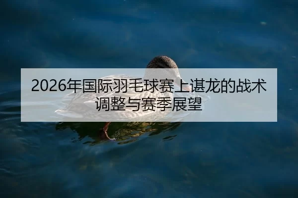 nian-guo-ji-yu-mao-qiu-sai-shang-chen-long-de-zhan-shu-tiao-zheng-yu-sai-ji-zhan-wang-2-616.jpg