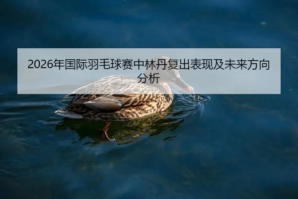 2026年国际羽毛球赛中林丹复出表现及未来方向分析
