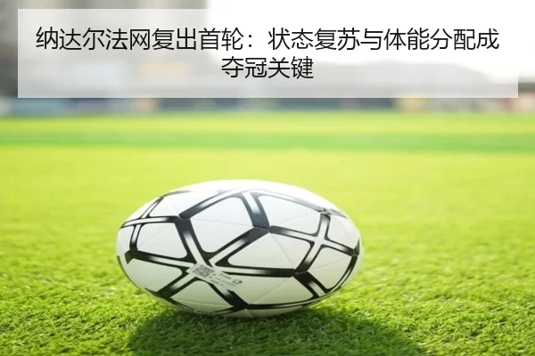 na-da-er-fa-wang-fu-chu-shou-lun-zhuang-tai-fu-su-yu-ti-neng-fen-pei-cheng-duo-guan-guan-jian-2-757.jpg