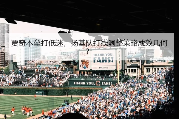 jia-qi-ben-lei-da-di-mi-yang-ji-dui-da-xian-tiao-zheng-ce-lve-cheng-xiao-ji-he-2-270.jpg