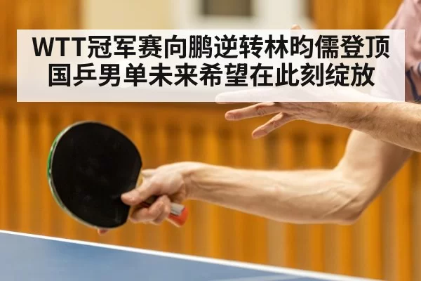 WTT冠军赛向鹏逆转林昀儒登顶 国乒男单未来希望在此刻绽放