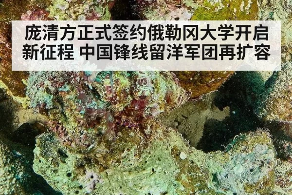 庞清方正式签约俄勒冈大学开启新征程 中国锋线留洋军团再扩容